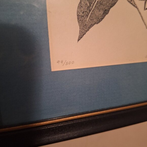 Annarae Anderson Limited Edition Hummingbird Morning Glory Art Print 99 of 500 - Picture 5 of 7